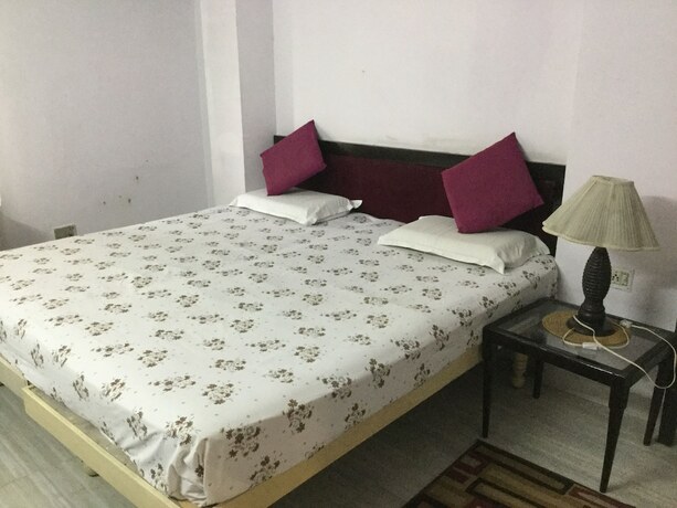 Imagen general del Hotel Mewar Inn. Foto 16