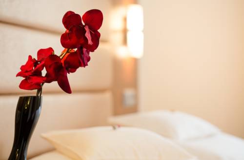 Imagen de la habitación del Hotel Meyerhof. Foto 3