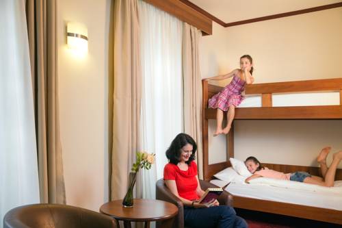 Imagen de la habitación del Hotel Meyerhof. Foto 10