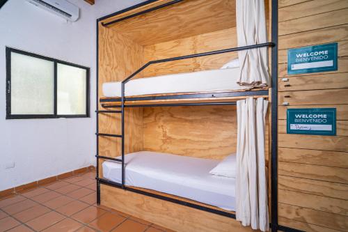 Imagen general del Hotel Mezcal Hostel. Foto 4