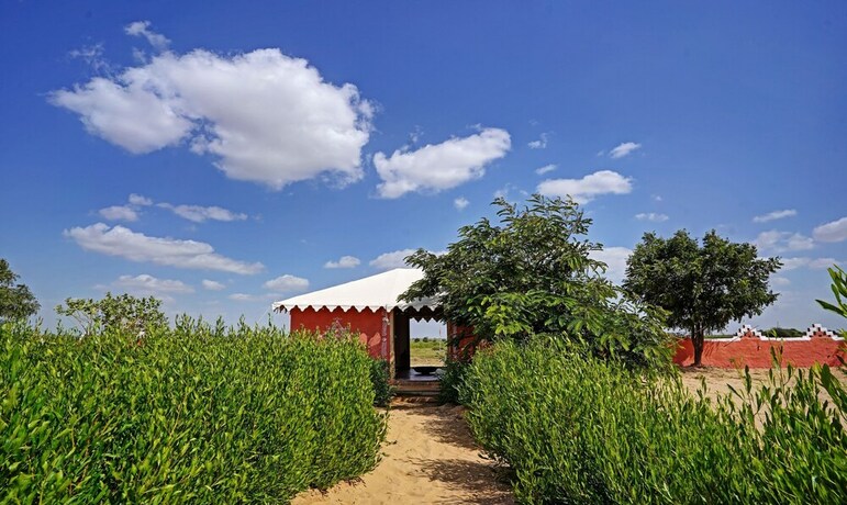 Imagen de los interiores del Hotel Mf Desert Camp. Foto 27