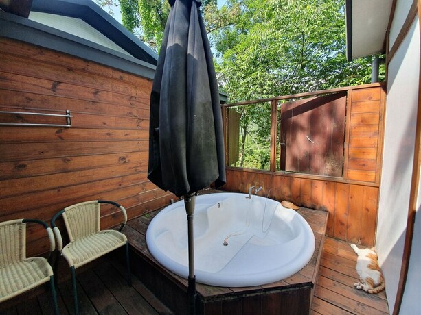 Imagen de la habitación del Hotel Mhuwe Hotspring. Foto 31