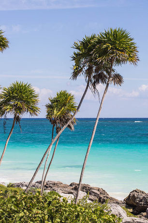 Imagen de los exteriores del Hotel Mi Amor – Adults Only – Colibri Boutique Hotels. Foto 20