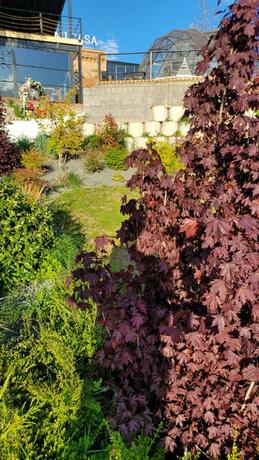 Imagen general del Hotel Mi Casa, SKOPJE. Foto 28