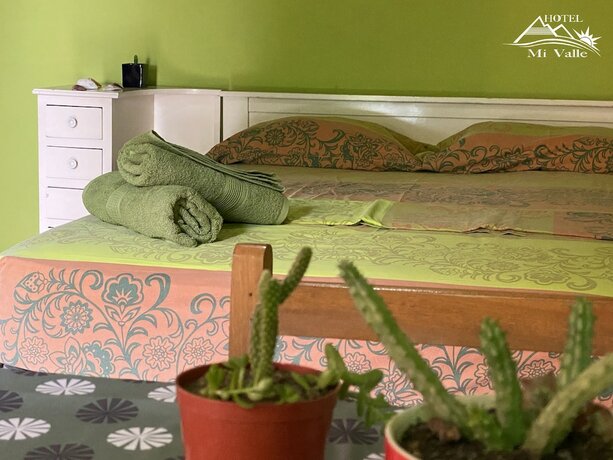 Imagen de la habitación del Hotel Mi Valle. Foto 12