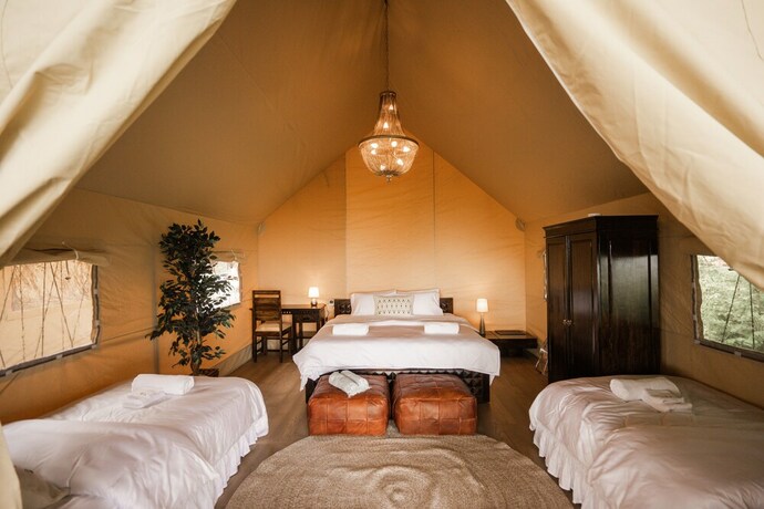 Imagen de la habitación del Hotel Mia Glamping. Foto 17