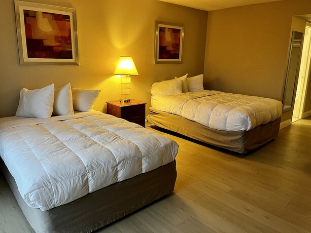 Imagen de la habitación del Hotel Miami Suites. Foto 12