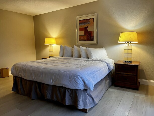 Imagen de la habitación del Hotel Miami Suites. Foto 18