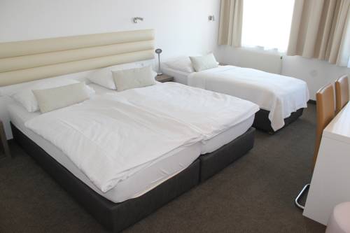 Imagen de la habitación del Hotel Michael, Florisdorf. Foto 8