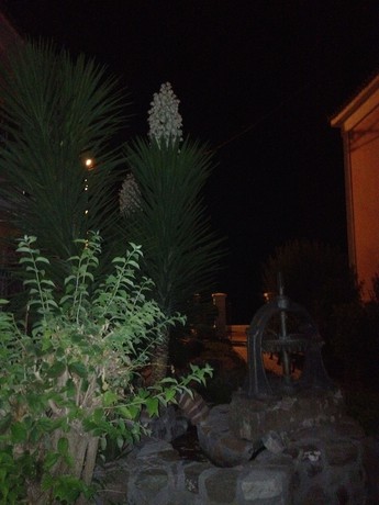 Imagen de los exteriores del Hotel Michaelia. Foto 12