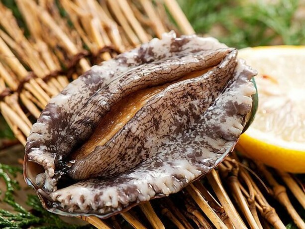 Imagen del bar/restaurante del Hotel Michishio. Foto 18