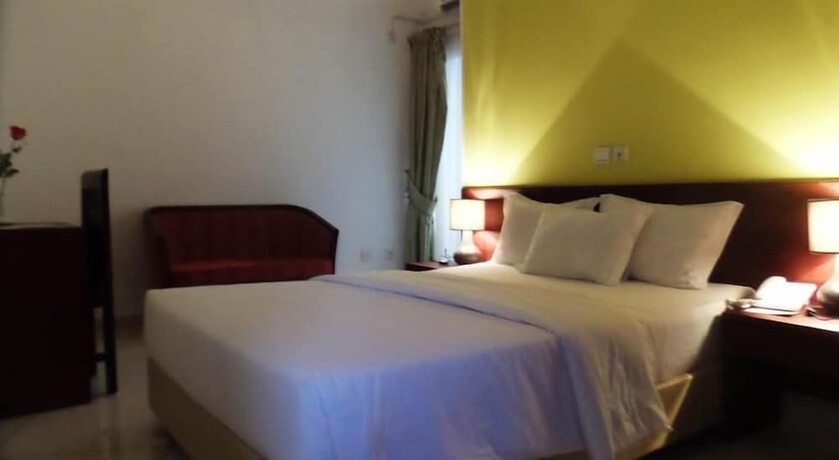 Imagen de la habitación del Hotel Micotel. Foto 7