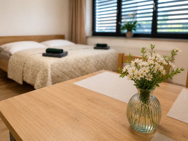 Imagen de la habitación del Hotel Microbyty and Apartments. Foto 8