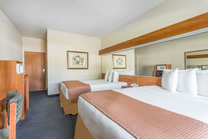 Imagen de la habitación del Hotel Microtel Inn And Suites By Wyndham Houma. Foto 11