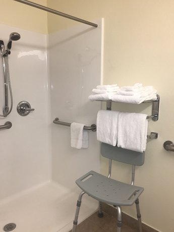 Imagen de la habitación del Hotel Microtel Inn And Suites By Wyndham Indianapolis Airport. Foto 8