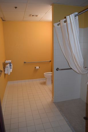 Imagen de la habitación del Hotel Microtel Inn And Suites By Wyndham Rock Hill/charlotte Area. Foto 11