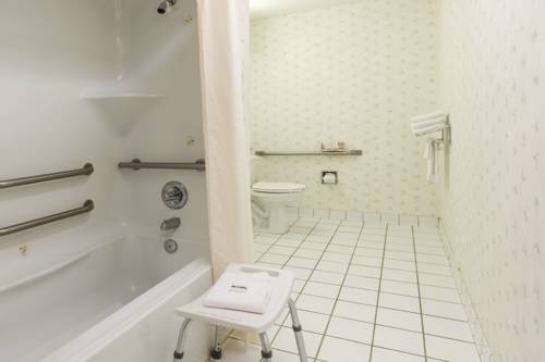 Imagen de la habitación del Hotel Microtel Inn By Wyndham Matthews/charlotte. Foto 7