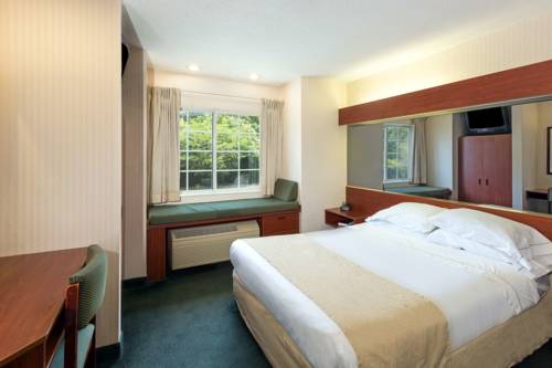 Imagen de la habitación del Hotel Microtel Inn By Wyndham Matthews/charlotte. Foto 10