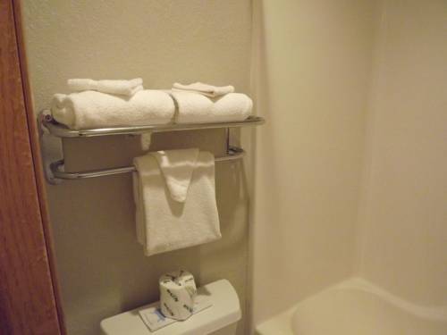 Imagen de la habitación del Hotel Microtel Inn & Suites by Wyndham Ames. Foto 8