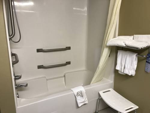 Imagen de la habitación del Hotel Microtel Inn & Suites by Wyndham Lithonia/Stone Mountain. Foto 2