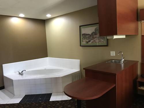 Imagen de la habitación del Hotel Microtel Inn & Suites by Wyndham Lithonia/Stone Mountain. Foto 15