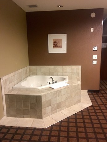 Imagen de la habitación del Hotel Microtel Inn & Suites by Wyndham Minot. Foto 11