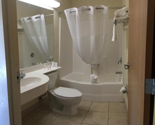 Imagen de la habitación del Hotel Microtel Inn & Suites by Wyndham Ocala. Foto 7