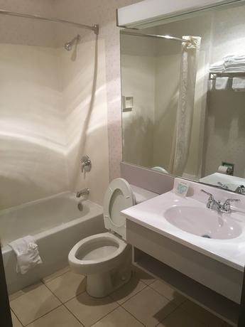 Imagen de la habitación del Hotel Microtel Inn & Suites by Wyndham Richmond Airport. Foto 8