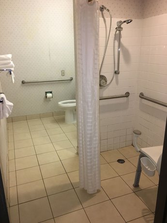 Imagen de la habitación del Hotel Microtel Inn & Suites by Wyndham Richmond Airport. Foto 11