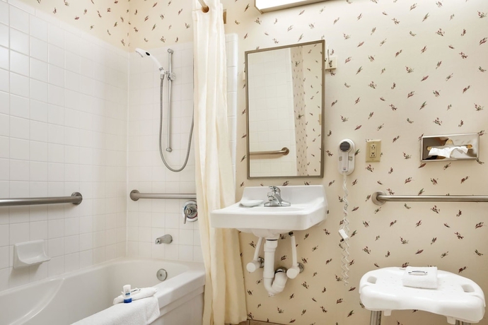 Imagen de la habitación del Hotel Microtel Inn and Suites By Wyndham Ann Arbor. Foto 10