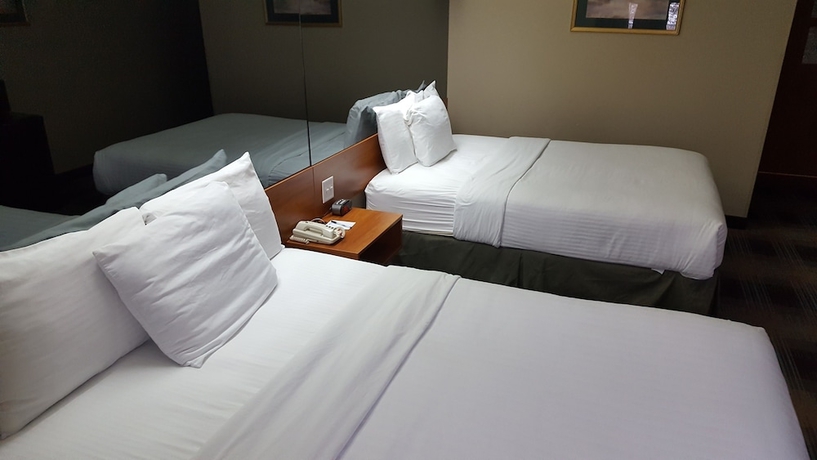 Imagen de la habitación del Hotel Microtel Inn and Suites By Wyndham Bozeman. Foto 3