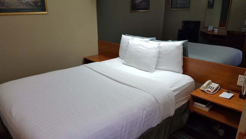 Imagen de la habitación del Hotel Microtel Inn and Suites By Wyndham Bozeman. Foto 4