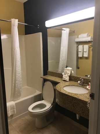 Imagen de la habitación del Hotel Microtel Inn and Suites By Wyndham Columbus/near Fort Moore. Foto 12