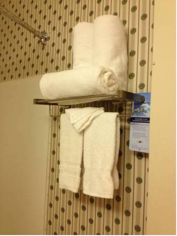 Imagen de la habitación del Hotel Microtel Inn and Suites By Wyndham Denver Airport. Foto 16