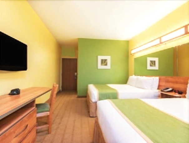 Imagen de la habitación del Hotel Microtel Inn and Suites By Wyndham Opelika. Foto 15