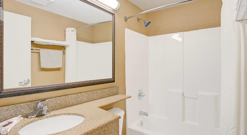 Imagen de la habitación del Hotel Microtel Inn and Suites By Wyndham Raleigh. Foto 10