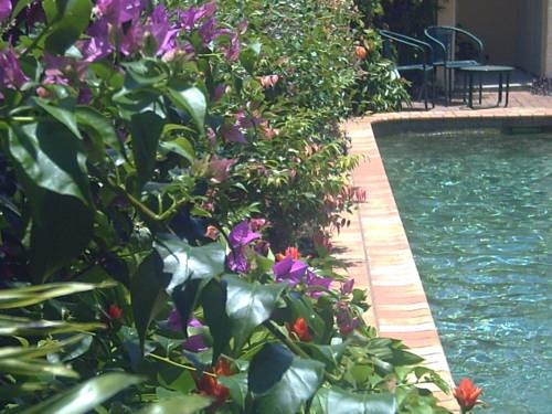Imagen general del Hotel Mid City Luxury Suites. Foto 17