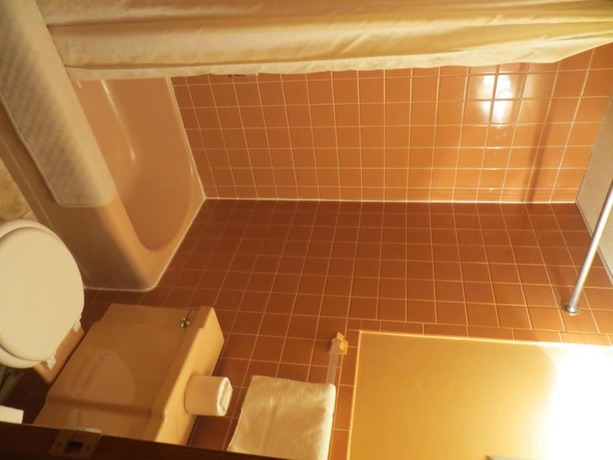 Imagen general del Hotel Mid Town Western Inn. Foto 11