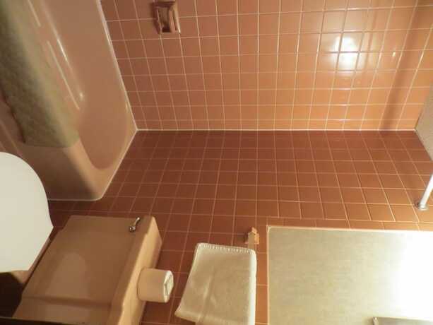 Imagen general del Hotel Mid Town Western Inn. Foto 15