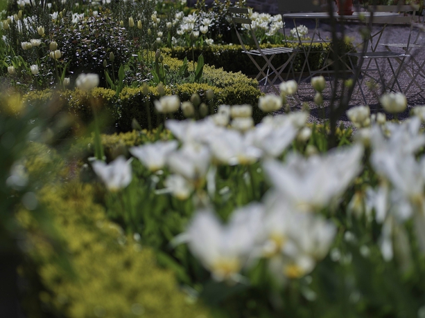 Imagen general del Hotel Middleton Lodge. Foto 2