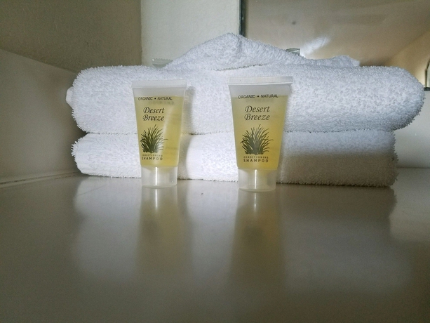 Imagen de la habitación del Hotel Midtown - Downtown New Orleans. Foto 6