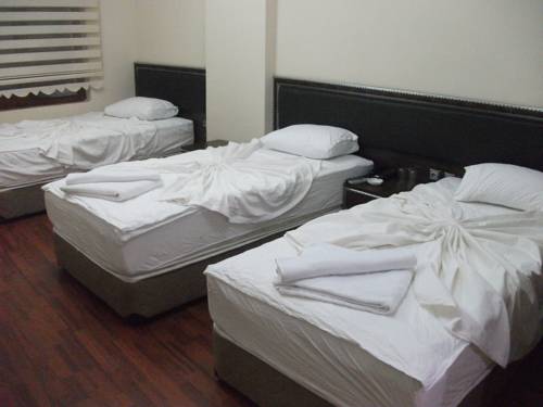 Imagen de la habitación del Hotel Midyat Gap. Foto 3