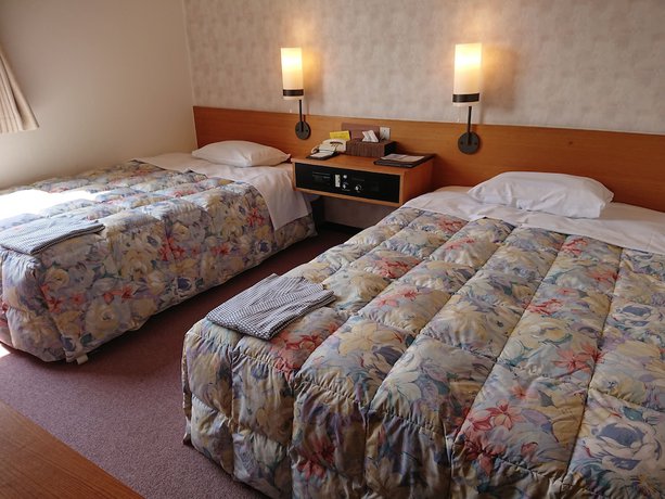 Imagen de la habitación del Hotel Mihara Kokusai. Foto 5