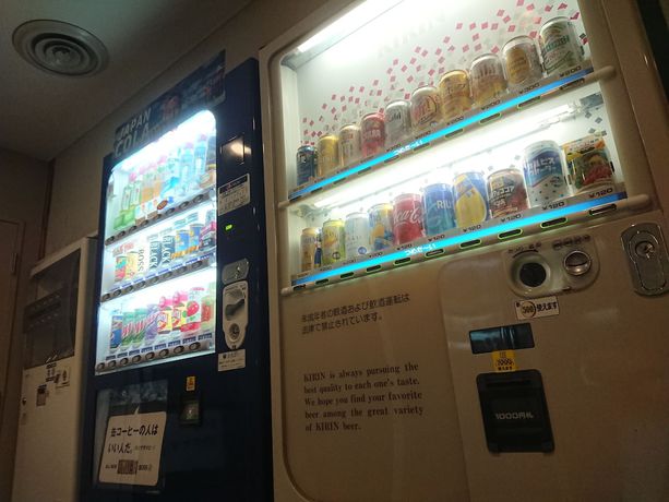 Imagen de los interiores del Hotel Mihara Kokusai. Foto 19