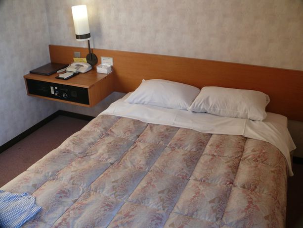 Imagen de la habitación del Hotel Mihara Kokusai. Foto 9