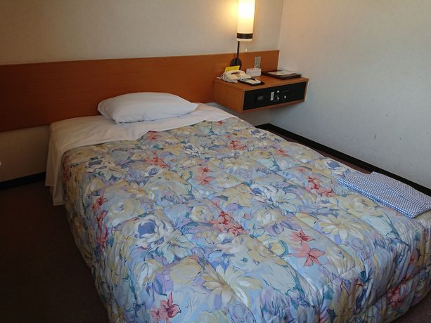 Imagen de la habitación del Hotel Mihara Kokusai. Foto 11