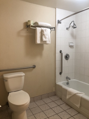 Imagen de la habitación del Hotel Mikado, Los Ángeles. Foto 12