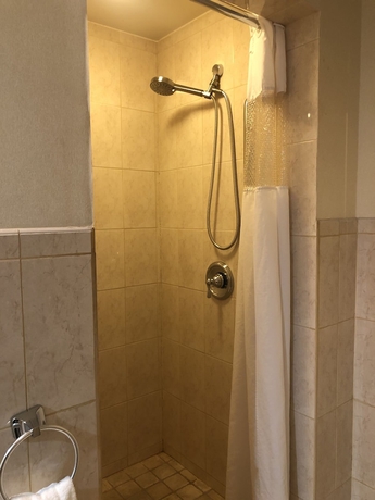 Imagen de la habitación del Hotel Mikado, Los Ángeles. Foto 14