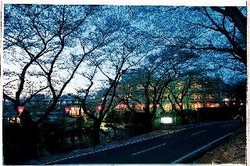 Imagen general del Hotel Mikasa Ryokan. Foto 3