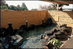 Imagen general del Hotel Mikasa Ryokan. Foto 5